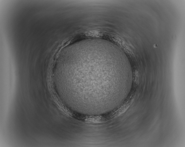 X0000112011201200908101335