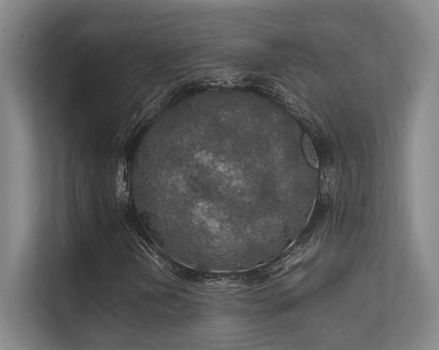 X0000112011202200908101335