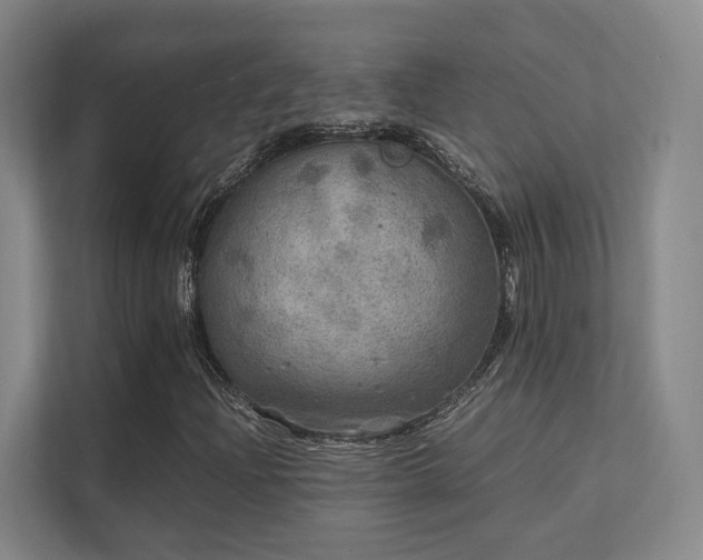 X0000112011204200908101335