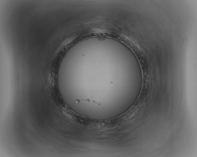 X0000112011207200908101335