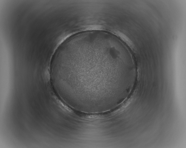 X0000112011212200908101335