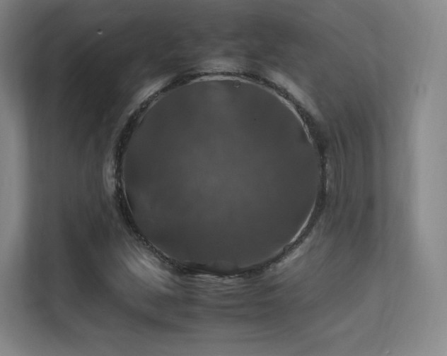 X0000112011213200908101335