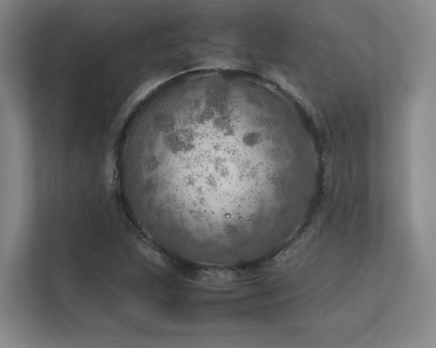 X0000112011215200908101335