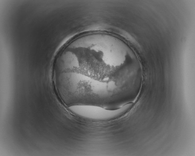 X0000112011216200908101335