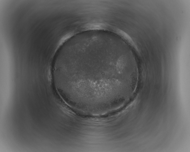 X0000112011218200908101335