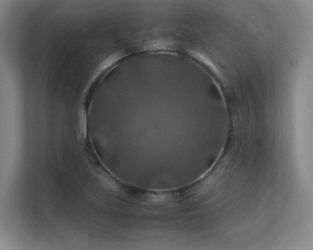 X0000112011219200908101335