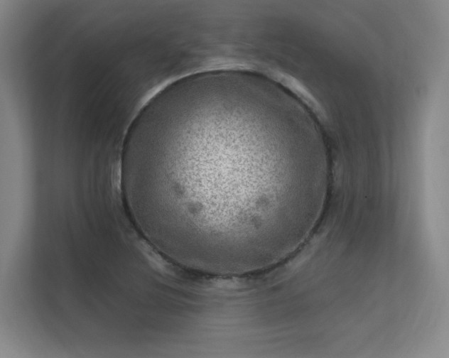 X0000112011220200908101335