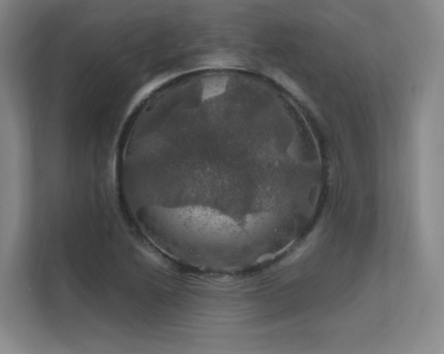 X0000112011222200908101335