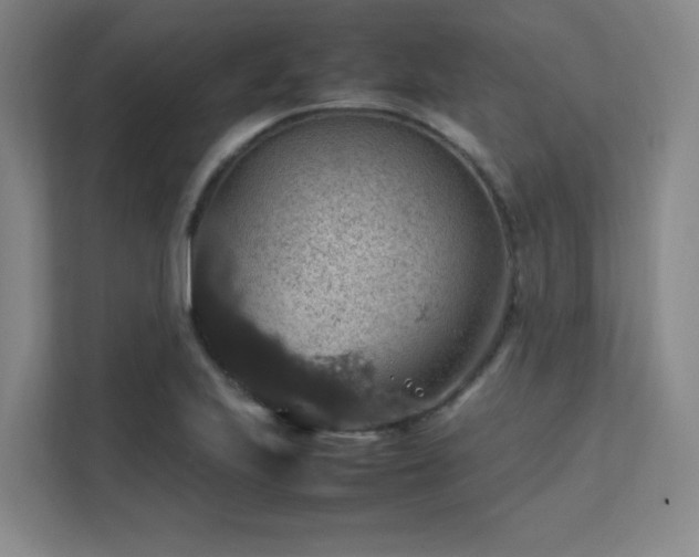 X0000112011223200908101335