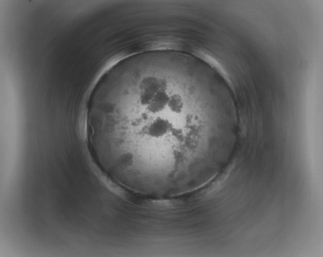 X0000112011227200908101335