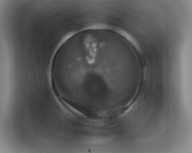 X0000112011229200908101335