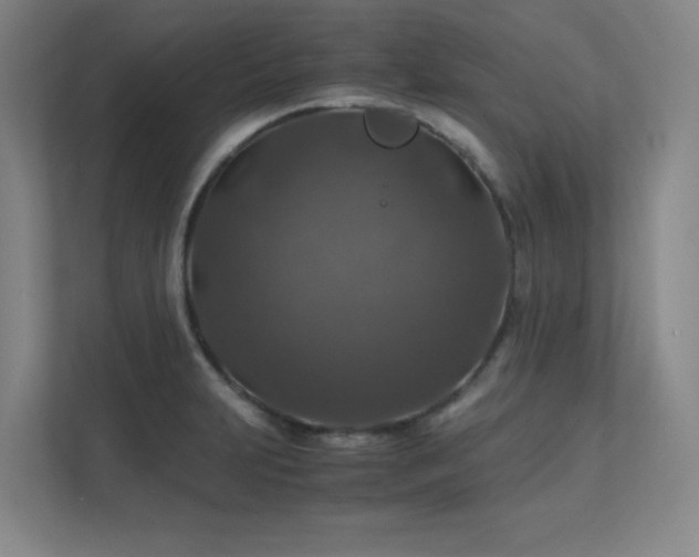 X0000112011231200908101335