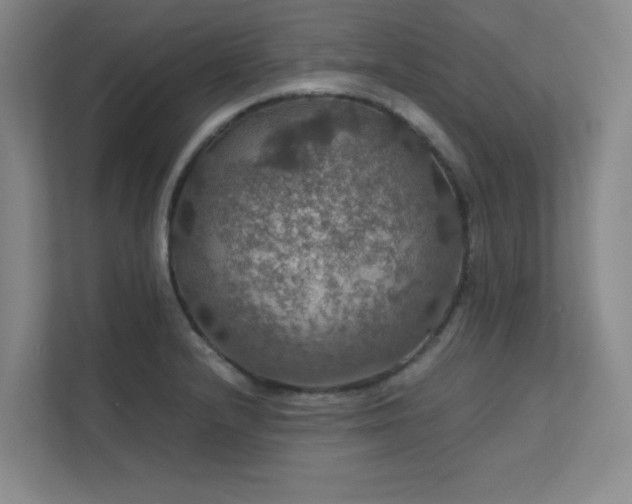 X0000112011232200908101335