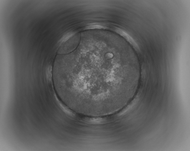 X0000112011233200908101335