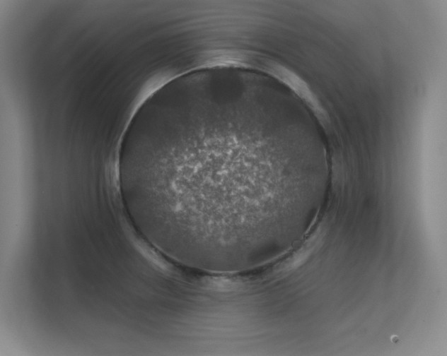 X0000112011234200908101335