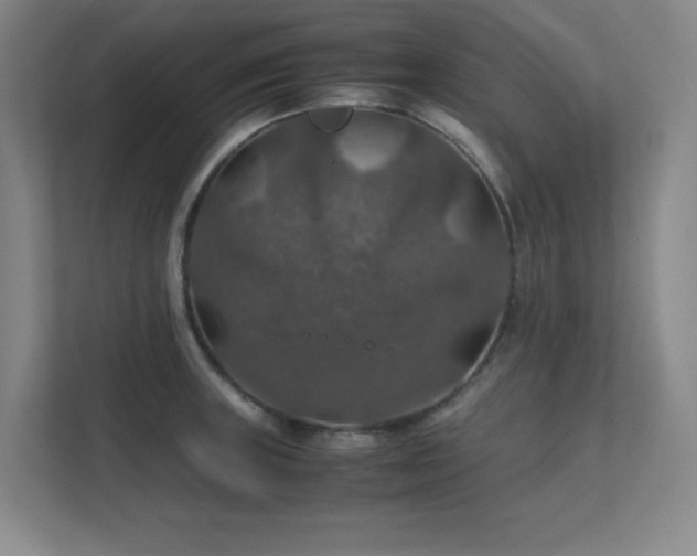 X0000112011235200908101335