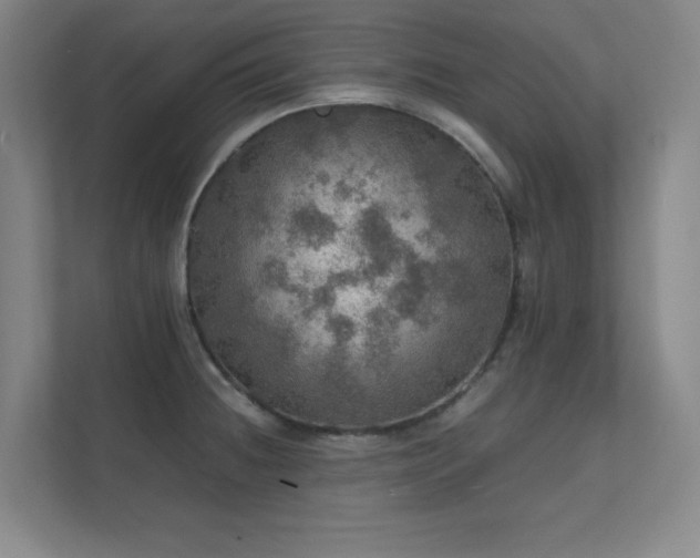 X0000112011236200908101335