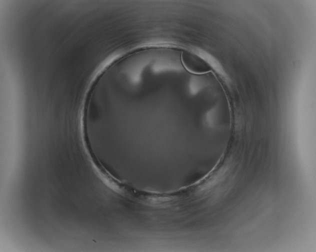 X0000112011237200908101335