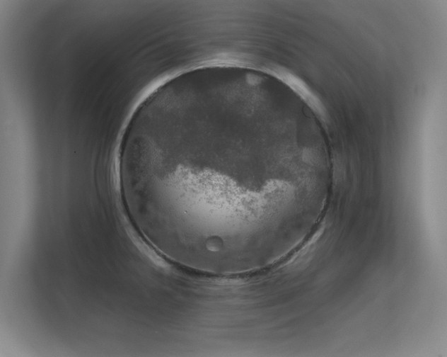 X0000112011238200908101335