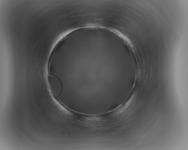 X0000112011239200908101335