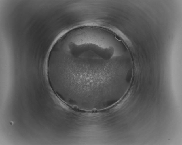 X0000112011240200908101335