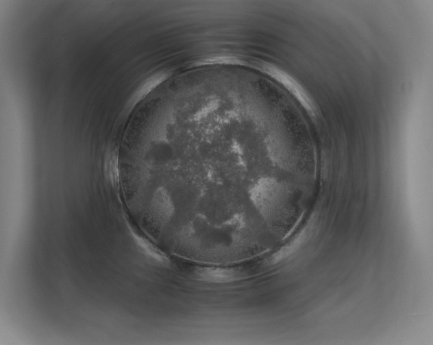 X0000112011241200908101335