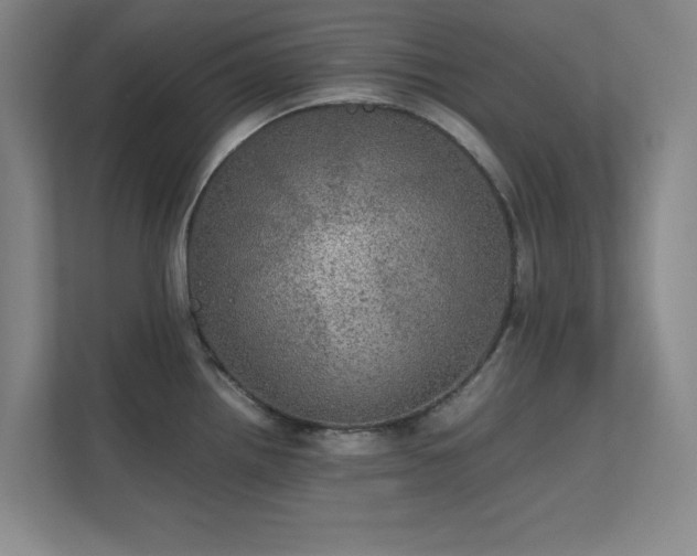 X0000112011242200908101335