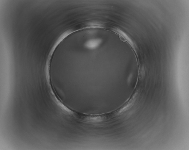 X0000112011243200908101335