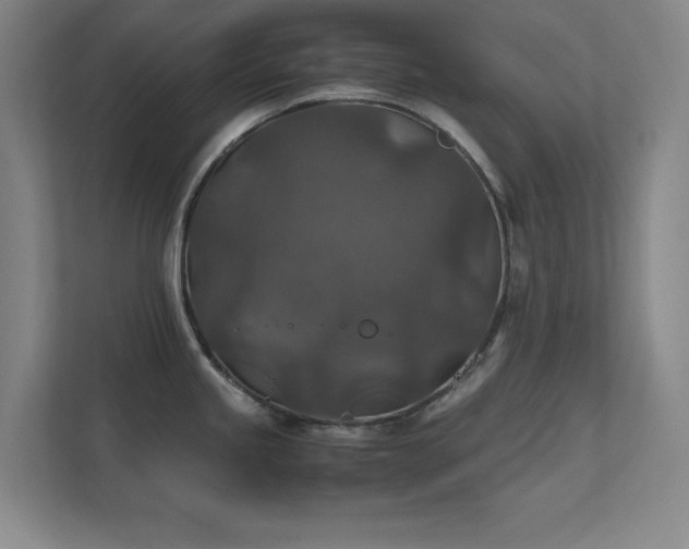 X0000112011245200908101336