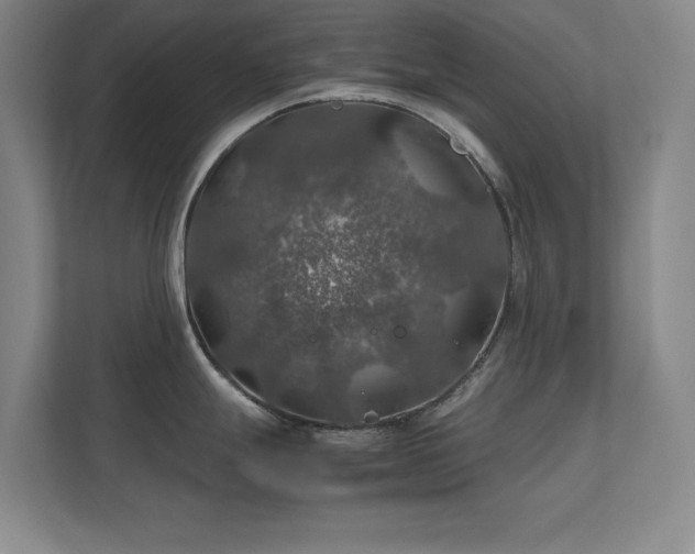 X0000112011247200908101336