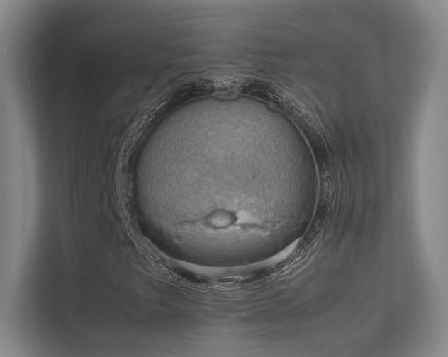 X0000112011249200908101335