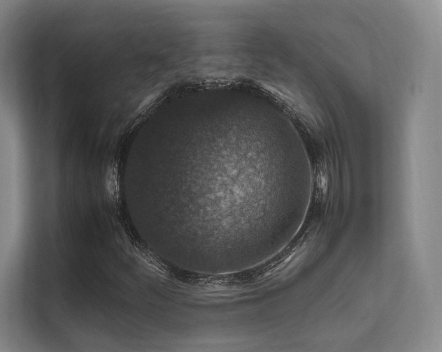 X0000112011252200908101335