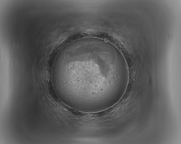 X0000112011253200908101335