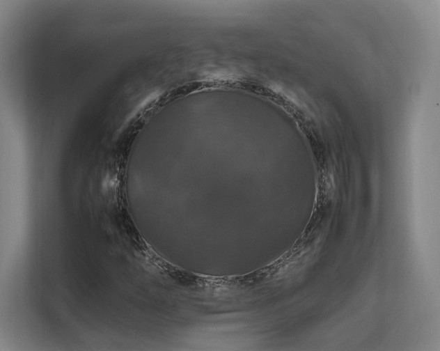 X0000112011254200908101335