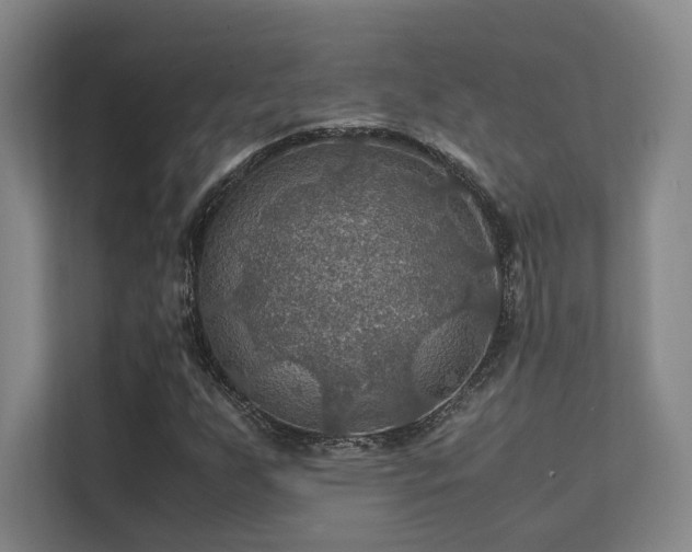 X0000112011255200908101335