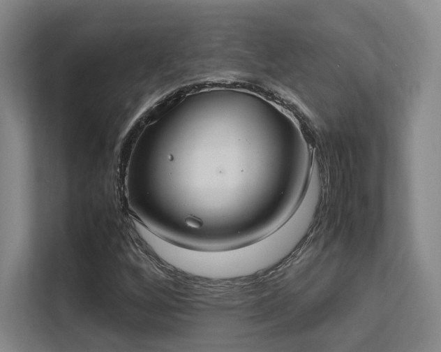 X0000112011256200908101335