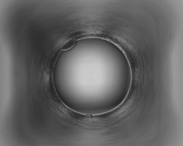 X0000112011257200908101335