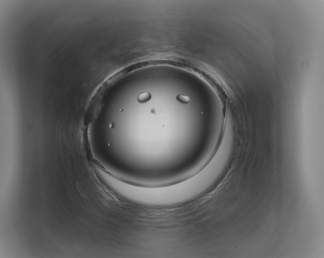 X0000112011260200908101335