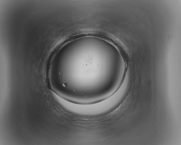 X0000112011261200908101335