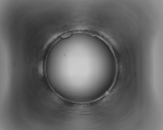 X0000112011262200908101335