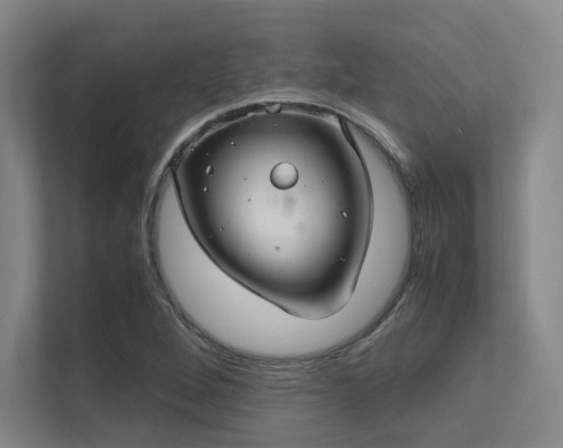 X0000112011264200908101335