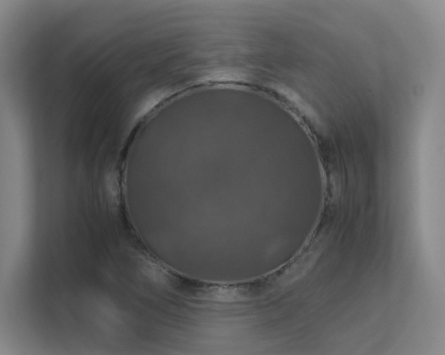 X0000112011266200908101335