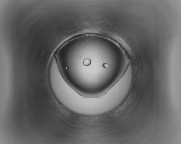 X0000112011268200908101335