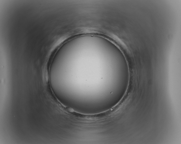 X0000112011269200908101335