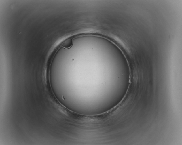 X0000112011270200908101335