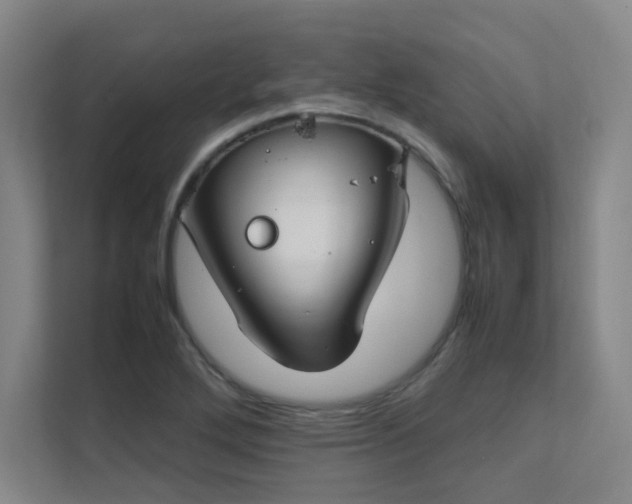 X0000112011272200908101335