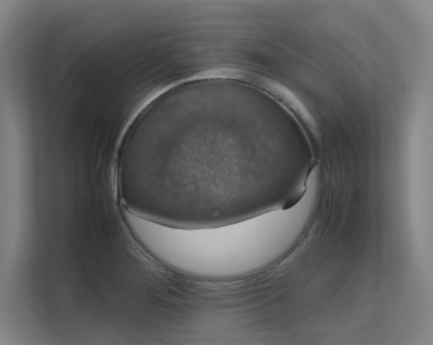 X0000112011276200908101335