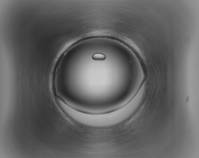 X0000112011277200908101335