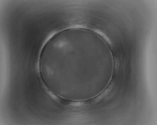 X0000112011278200908101335