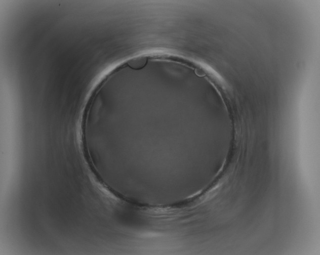 X0000112011279200908101335